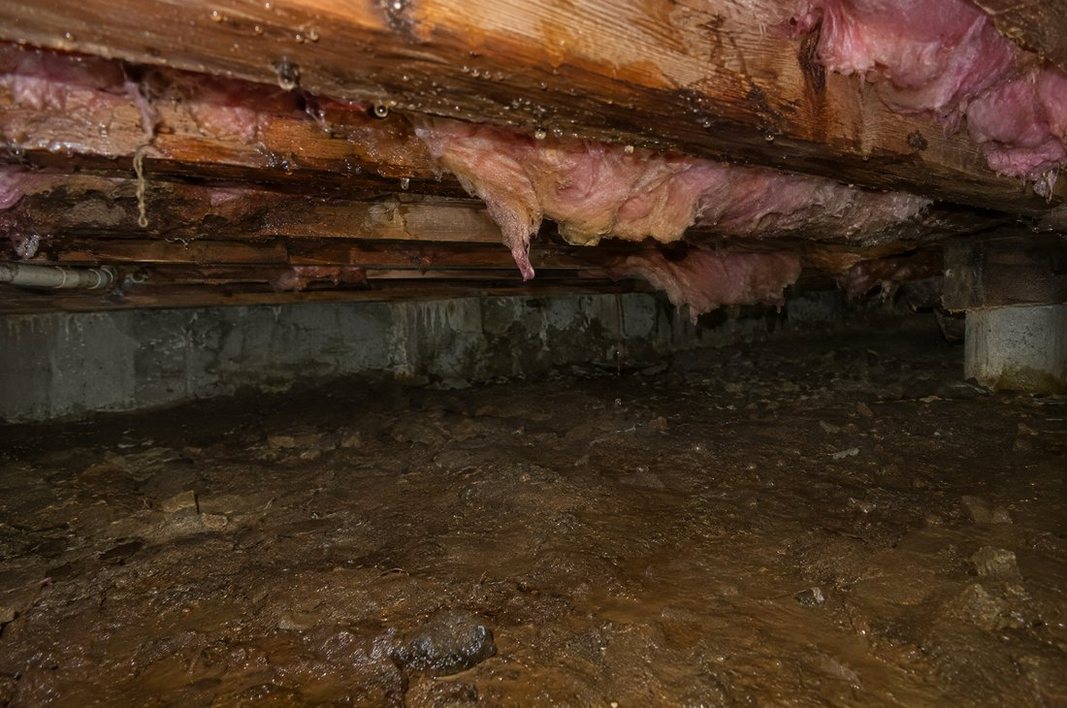 Damp dirt-floor crawl space with moisture on the foundation walls under a Greenville home